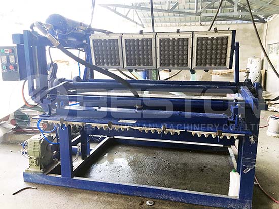 Small Egg Tray Machine for Sale