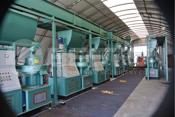 Beston Sawdust Pellet Making Machine in America with Good Quality