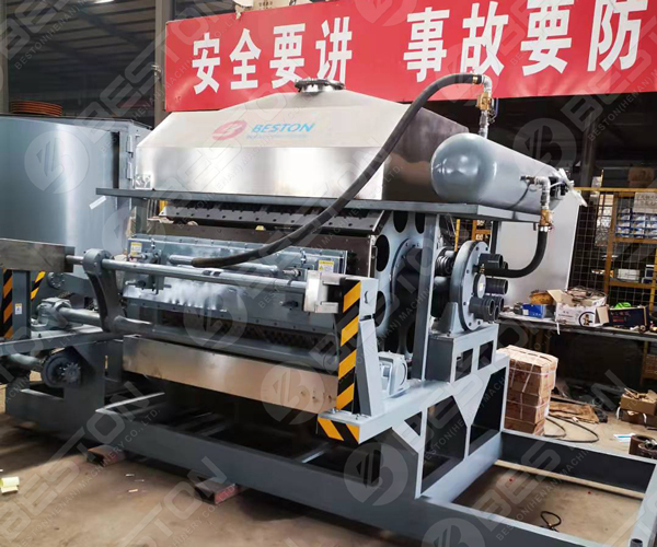 Pulp Molding Machine