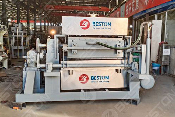 Beston Affordable Egg Tray Making Machine