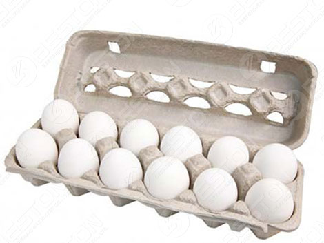 12 Egg Carton